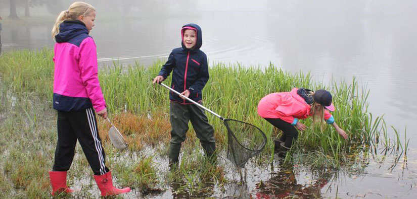Three schoolchildren exploring nature on a shore.