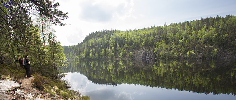 Kolme retkeilijää seisoo rantaa pitkin kulkevalla polulla ja katselee, kuinka metsä heijastuu tyynen järven pintaan vastarannalla.