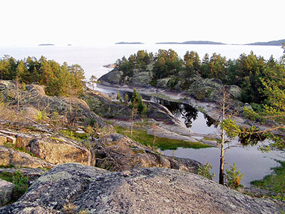 Ladoga. Bild: Forststyrelsen / Pekka Innanen