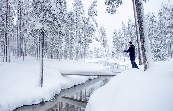 Hiihtäjä Muikkupurolla Hossan kansallispuistossa. Kuva: Tuuli Turunen / Metsähallitus