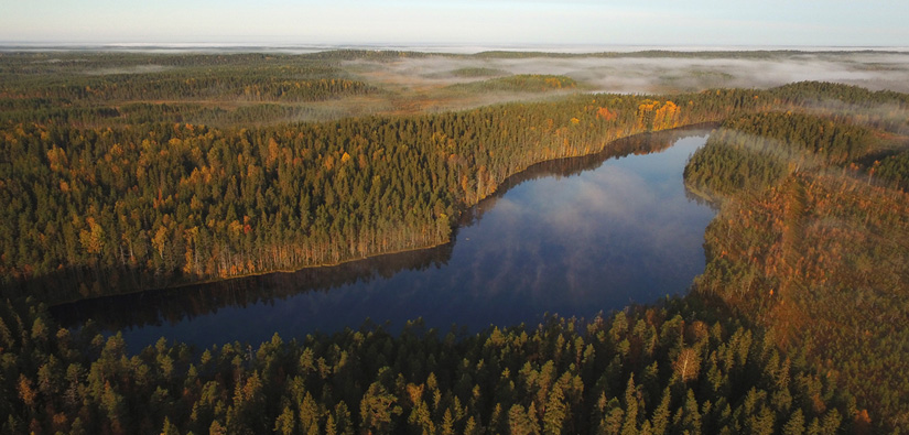 Pitkäjärvi, Ylöjärvi. Bild: Jari Salonen