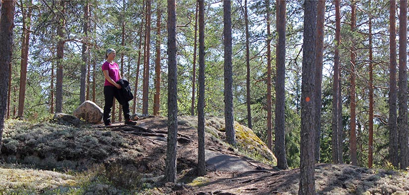 Nainen kävelee aurinkoisessa mäntymetsässä polkua pitkin.