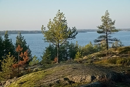 Porkkala. Kuva: Janne Kommonen.