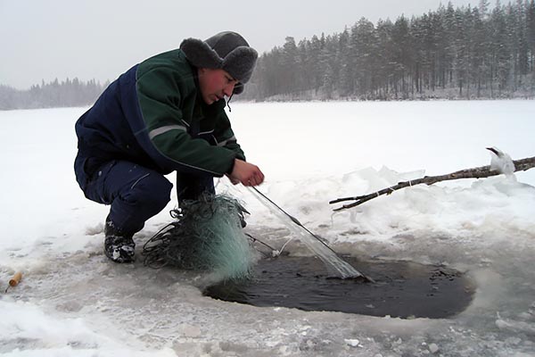 Om du betalar fiskevårdsavgiften redan nu, är ditt fisketillstånd giltigt från början av året. Foto: Mirja Sevón