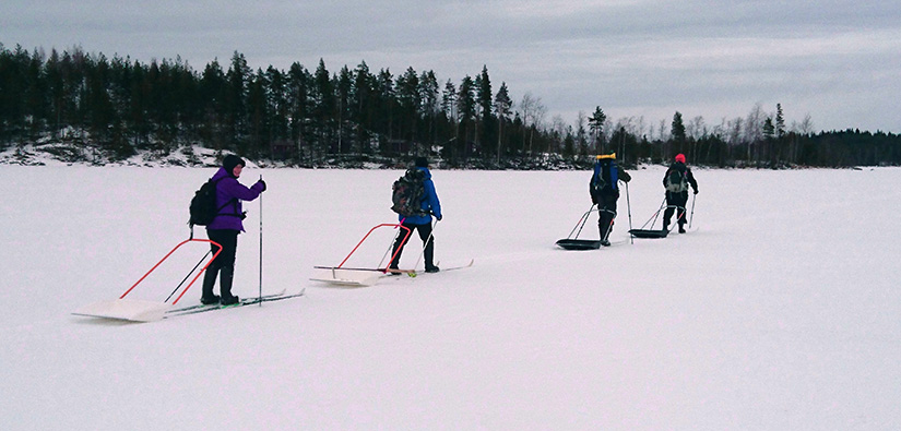 Neljä vapaaehtoista hiihtää jäällä. Jokainen vetää perässään lumikolaa.