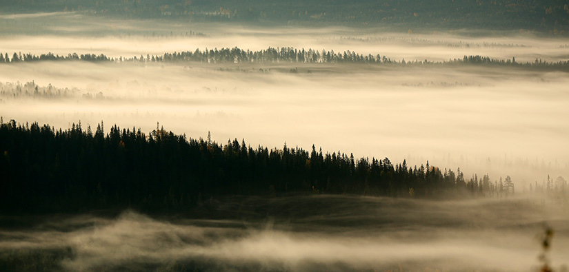 Morning in Syöte area. Photo: Jari Salonen