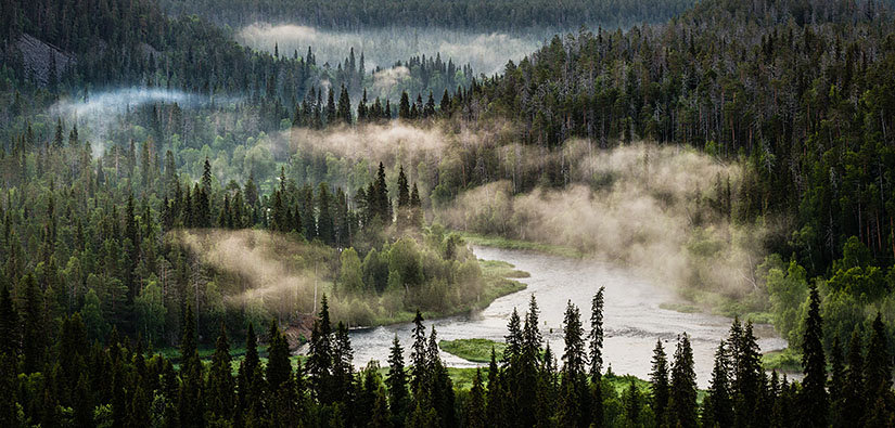 Mutkitteleva joki metsän keskellä. Joesta jousee vesihöyryä.