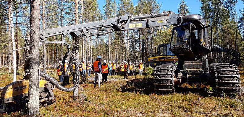 Metsäverkoston retkellä. Kuva: Metsähallitus