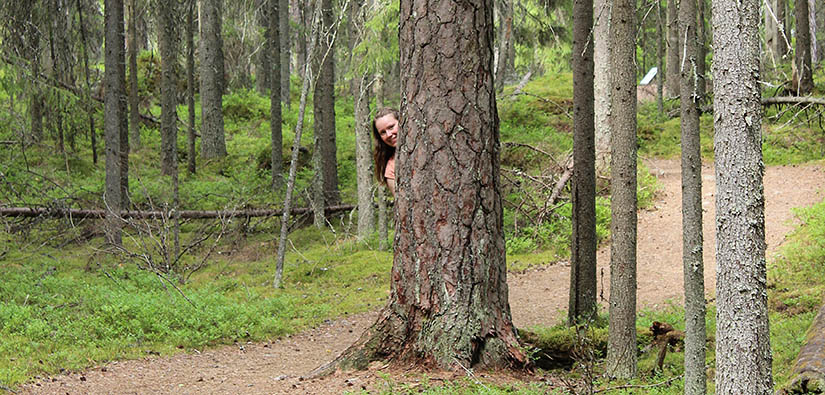 Seitsemisen kansallispuistossa. Kuva: Riikka Mansikkaviita