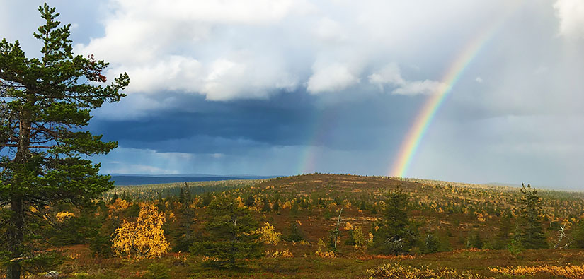 Rainbow in the Riisitunturi National Park. Photo: Marjo Kämäräinen
