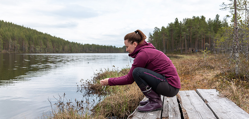 Kuhmon syväjärven maisemia. Kuva: Sini Salmirinne, Metsähallitus.