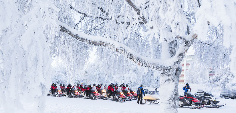 A snowmobile caravan has stopped next to a big tree in a snowy setting.