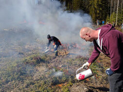 Kaksi henkilöä sytyttää aluskasvillisuutta palamaan kaasupolttimilla. Ilmassa on paljon savua.