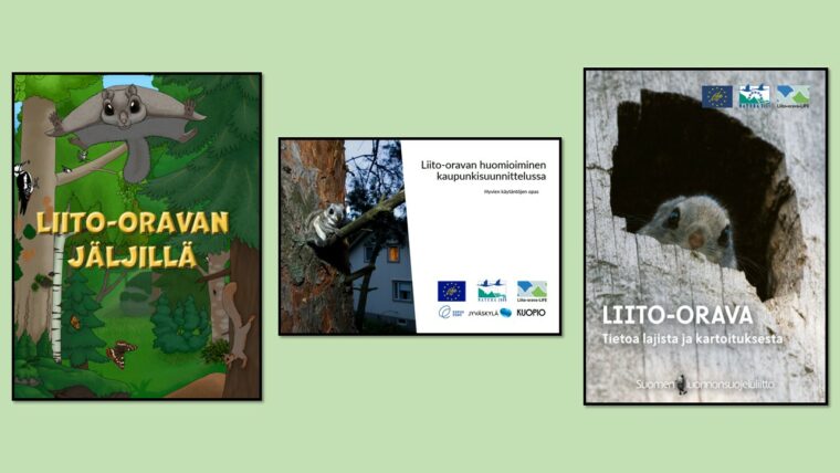 Cover photos of the three guides. The first guide is "In the footsteps of a flying squirrel", and its cover features a cartoon forest showing a flying squirrel, a squirrel, a woodpecker, two butterflies, small birds, and trees. Another guide is "Considering the Flying Squirrel in Urban Planning", and its cover features a photograph of a flying squirrel perched on a branch, with a white building in the background. The third guide is the flying squirrel inventory guide, and in its cover image, a flying squirrel peeks out of the hole.