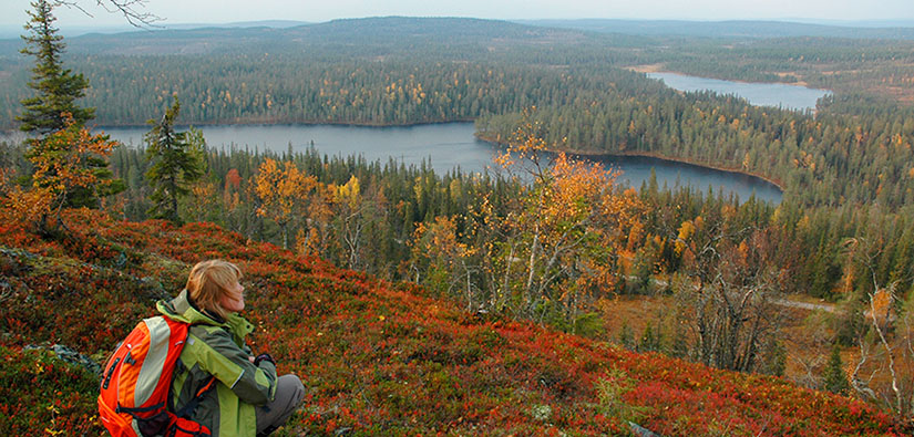 Retkeilijä istuu tunturin laella ja katselee järvien pilkkomaa metsämaisemaa.