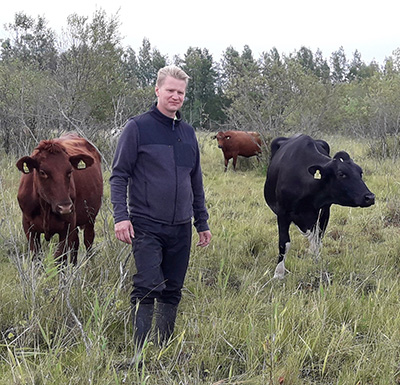 Mies seisoo luonnonlaitumella kolmen lehmän keskellä.