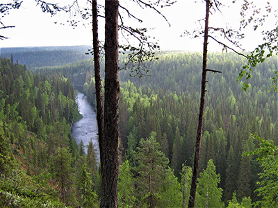 Dvina River landscape in northwestern Russia. Photo by Artem Stolpovsky.