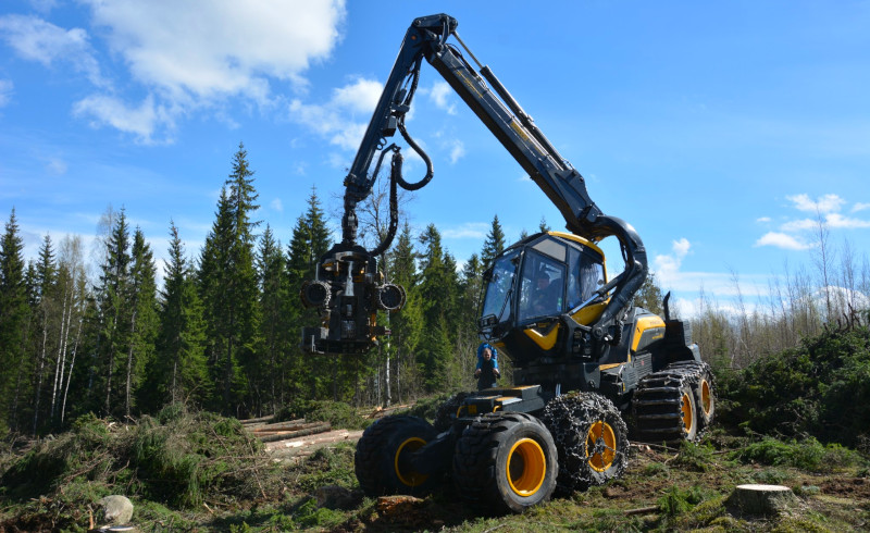 A forest machine on a forest regeneration site.