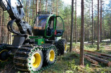 A forest machine is felling trees in a dry pine heath forest.