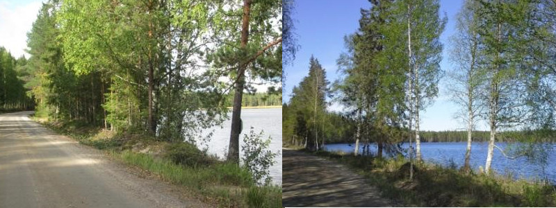 Two images showing how a lake landscape opens up when some of the trees blocking the view are removed.