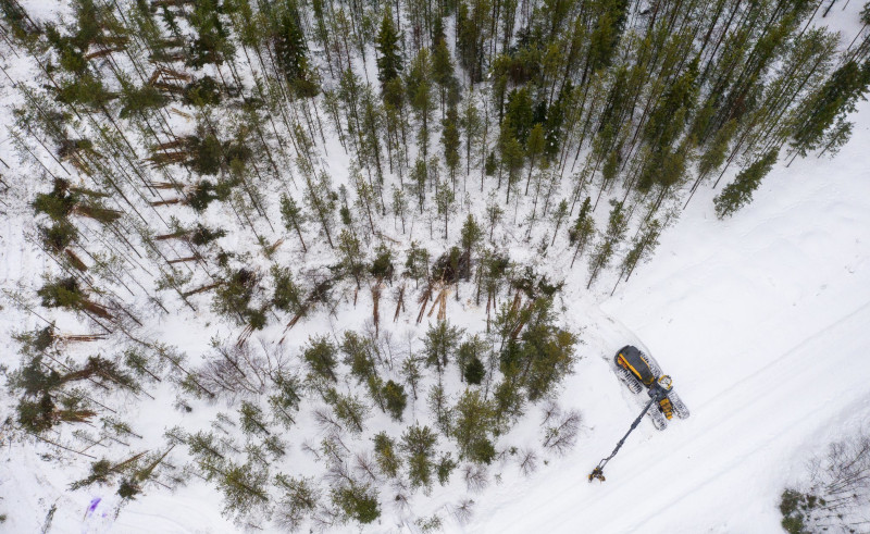 An aerial photograph of a forest machine who has left piles of pine trees behind.