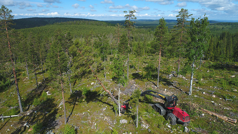 Metsäkone kaataa puuta vaaramaisemassa.