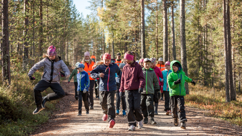 Lapset juoksevat ja hyppivät metsätiellä.