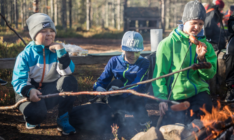 Three boys are cooking sausages at a campfire site in Mottimetsä.