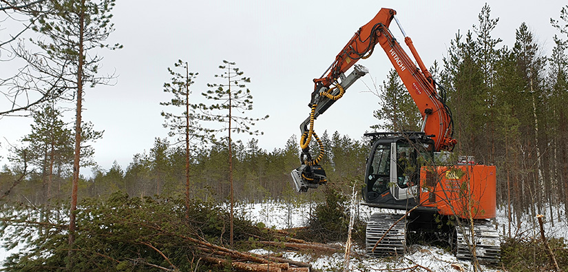 Puiden poistoa ennen suon ennallistamistoimia Kyyjärven Peuralamminnievalla 2020.Kuva Christian Koivula.