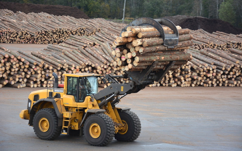 A shovel loader is carrying a bundle of logs at a large timber loading site.