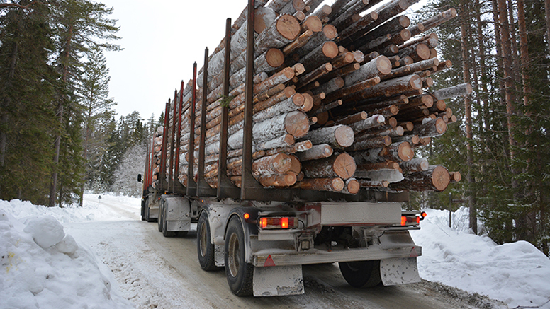 Puutavara-auto talvisella metsätiellä kuormattuna