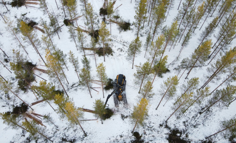 Ilmakuva metsäkoneesta, joka tekee pieniä puukasoja metsässä, johon ensilumi on satanut.