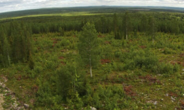 An aerial photograph of a log hole with trees and undergrowth left for animals.