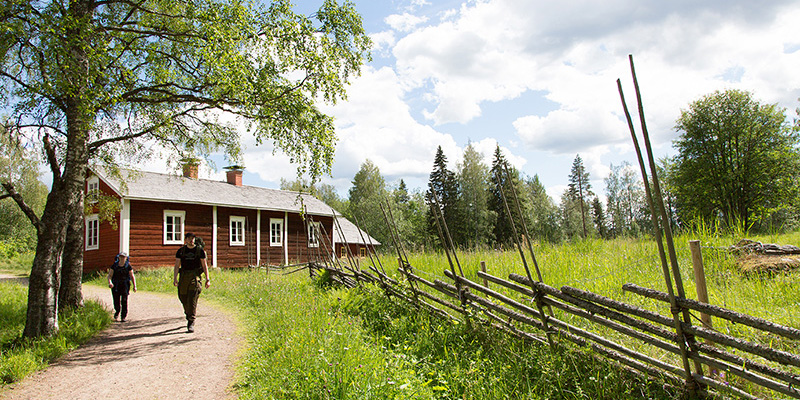 Retkeilijät Seitsemisen kansallispuiston Koveron perinnetilan polulla kesäpäivänä, edessälaidun ja riukuaita, takana vanha hirsitalo. Kuvaaja Sannamari Ratilainen.