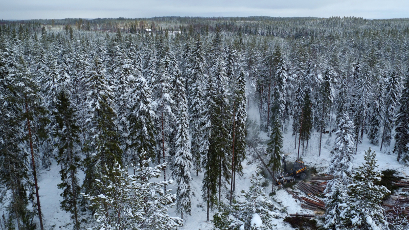 An aerial photograph of a forest machine cutting down a spruce in a landscape of snowy forested hills.