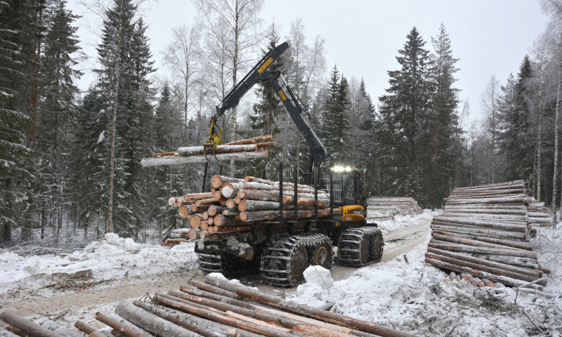 A forest tractor is picking up trees on the side of a forest road.