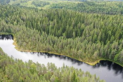 Suorantainen lampi metsän keskellä.