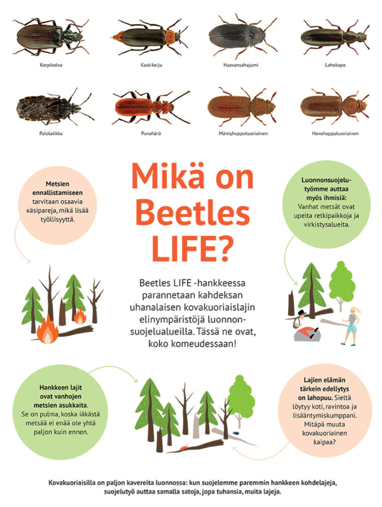 Infotaulu, jossa kerrotaan, mitä hankkeessa tehdään kohdelajien hyväksi. Sisältää lajikuvia ja piirroksia luonnon ennallistamistöistä.