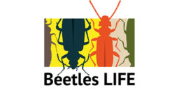 Beetles LIFE -logo