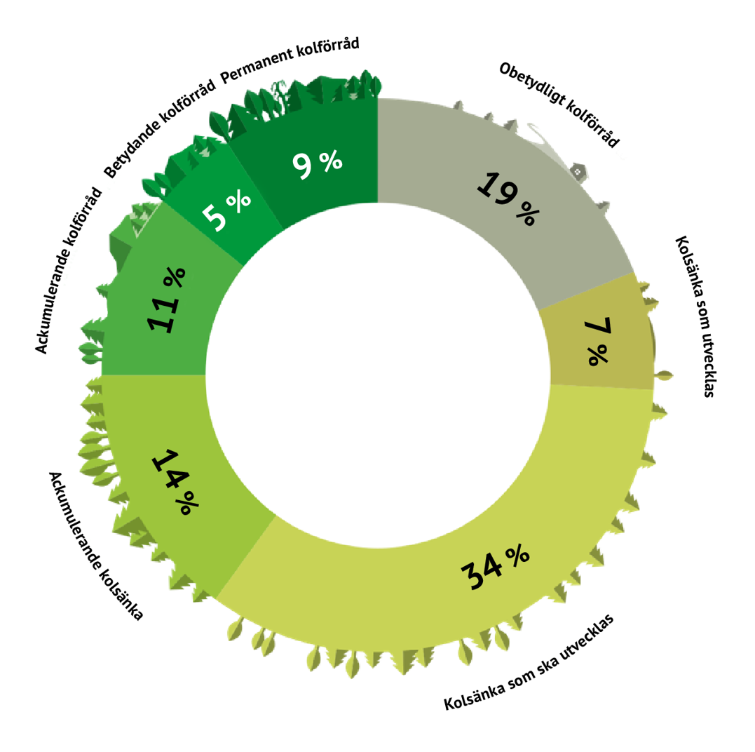 Figuren visar hur mångbruksskogarna är fördelade procentuellt enligt kolklass. Klassernas namn och procenttal finns i den löpande texten under figuren.