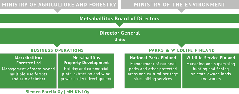 Organization Chart. The structure of the organization is explained in the body text below.