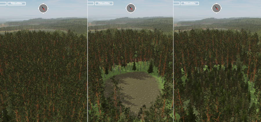 Virtuaalimetsä-tietokoneohjelman visualisointi metsästä ennen ja jälkeen pienaukkohakkuun. Kuvan vasemmassa laidassa metsä on täysikasvuista, keskellä on hakkuuaukko ja oikeassa laidassa kuvataan metsä 30 vuoden jälkeen eli taimikkona.