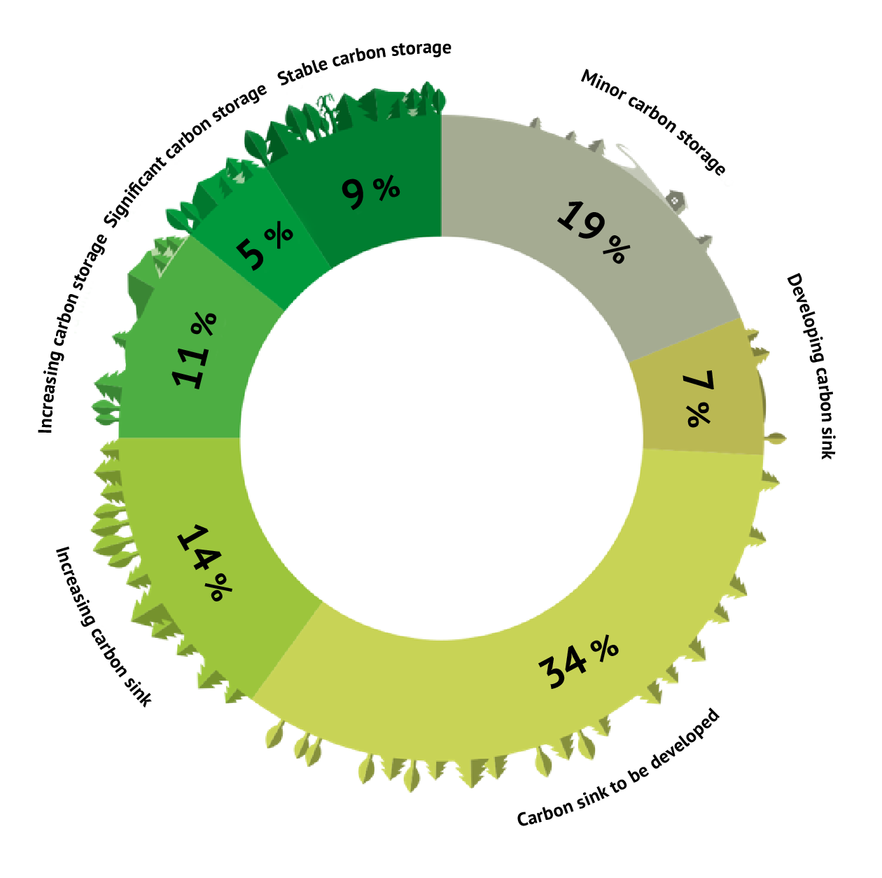 The figure shows the distribution of multiple-use forests in the various classes as a percentage. The classification and percentages are described above in the bodytext.