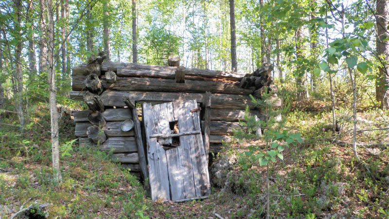 Romahtaneen tervapirtin jäännös metsässä.