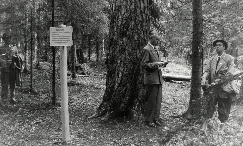 A man is making a speech at the foot of an old pine tree in a national park while others listen, a black and white image.