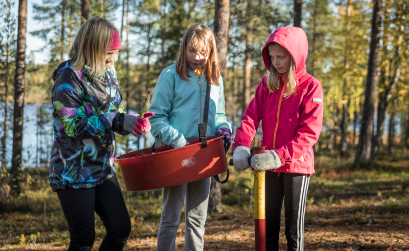 Kolme tyttöä taimenistutusvälineiden kanssa metsässä.