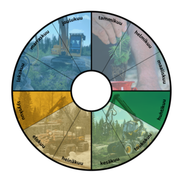 Annual calendar of Forestry Ltd’s procurements. The circle is divided into 12 months. The first quarter is illustrated with pine planting, the second with timber harvesting, the third with timber transportation and the fourth with excavator contracting.