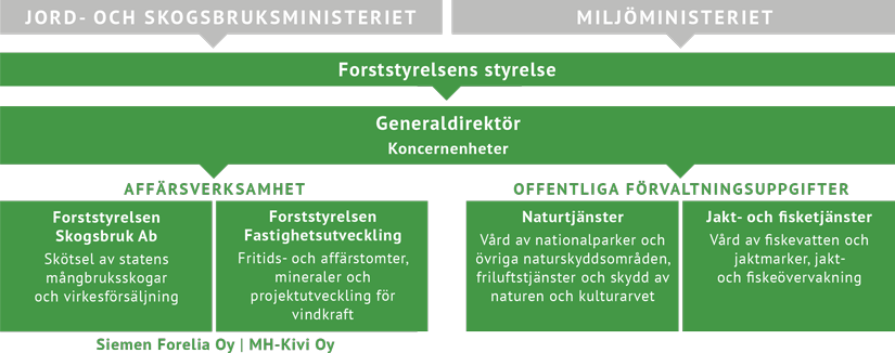 Diagrammet visar hur Forststyrelsens organisationen bildas. Uppgifterna kan också läsas i huvudtexten under diagrammet.