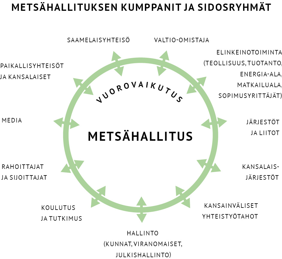 Grafiikka, joka nimeää Metsähallituksen kumppanit ja sidosryhmät. Niitä ovat valtio-omistaja, elinkeinotoiminta, järjestöt ja liitot, kansalaisjärjestöt, kansainväliset yhteistyötahot, hallinto, koulutus ja tutkimus, rahoittajat ja sijoittajat, media, paikallisyhteisöt ja kansalaiset sekä saamelaisyhteisö.