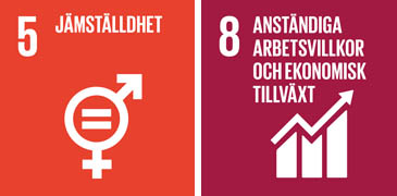 Grafiken visar FN:s mål för hållbar utveckling nummer 5 jämställdhet och nummer 8 anständiga arbetsvillkor och ekonomisk tillväxt.